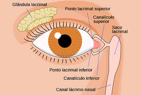 Avaliação do Filme Lacrimal